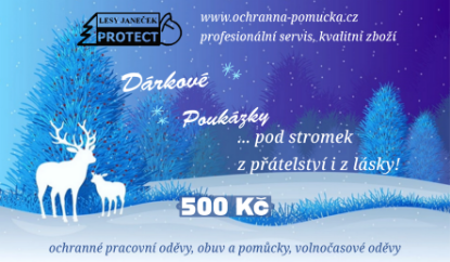 Picture of Vánoční dárkový poukaz 500 Kč (fyzický)