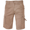 8968823799838-03100013_CHENA_shorts_beige_19749.tif.png